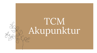 TCM Akupunktur Villach